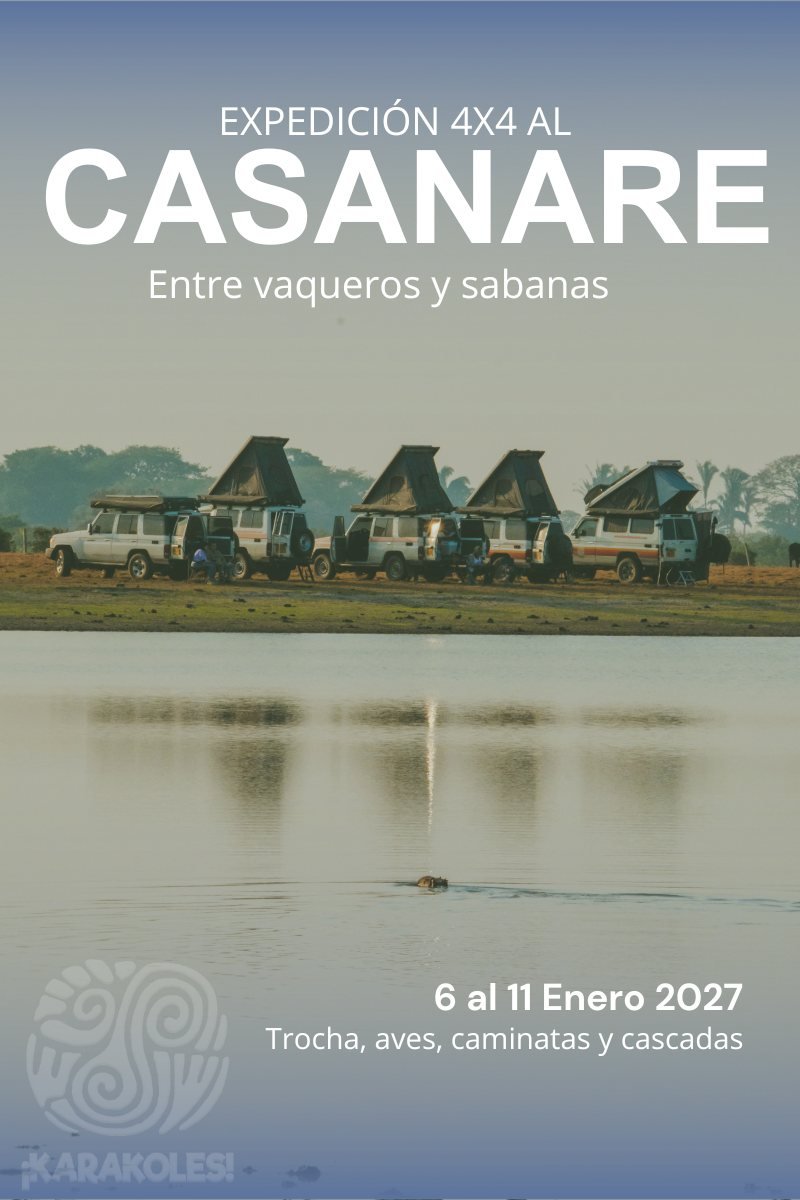 Afiche de la edición Casanare: vaqueros y sabana, 6 al 11 de enero de 2027