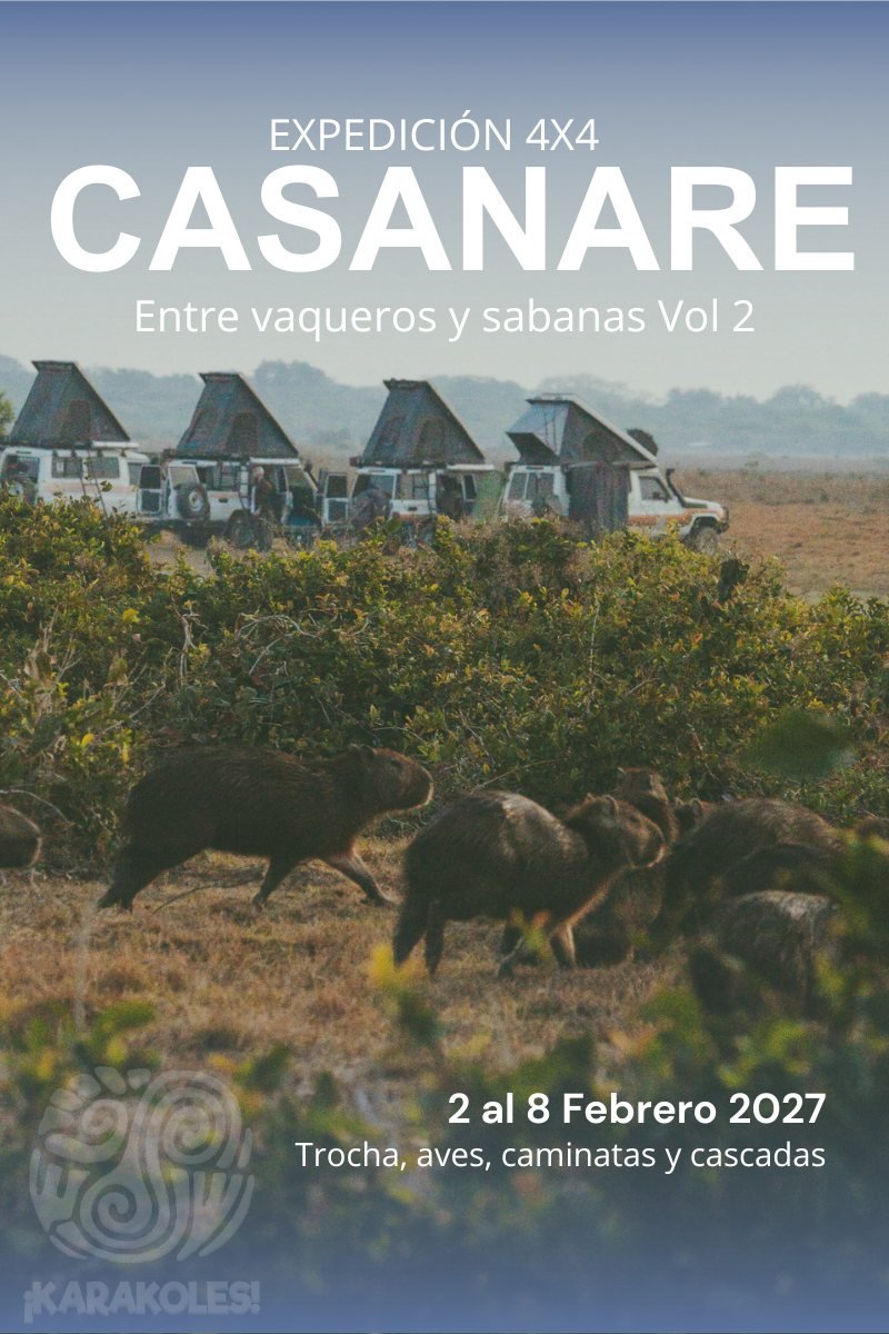 Afiche de la edición Casanare: vaqueros y sabana, 3 al 8 de febrero de 2027